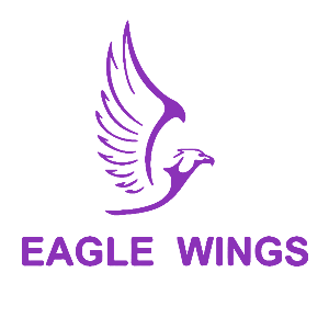 Eagle Wings online marketing Logo