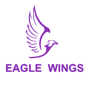 تسويق لشركة ايغل وينغز على الانترنت Logo