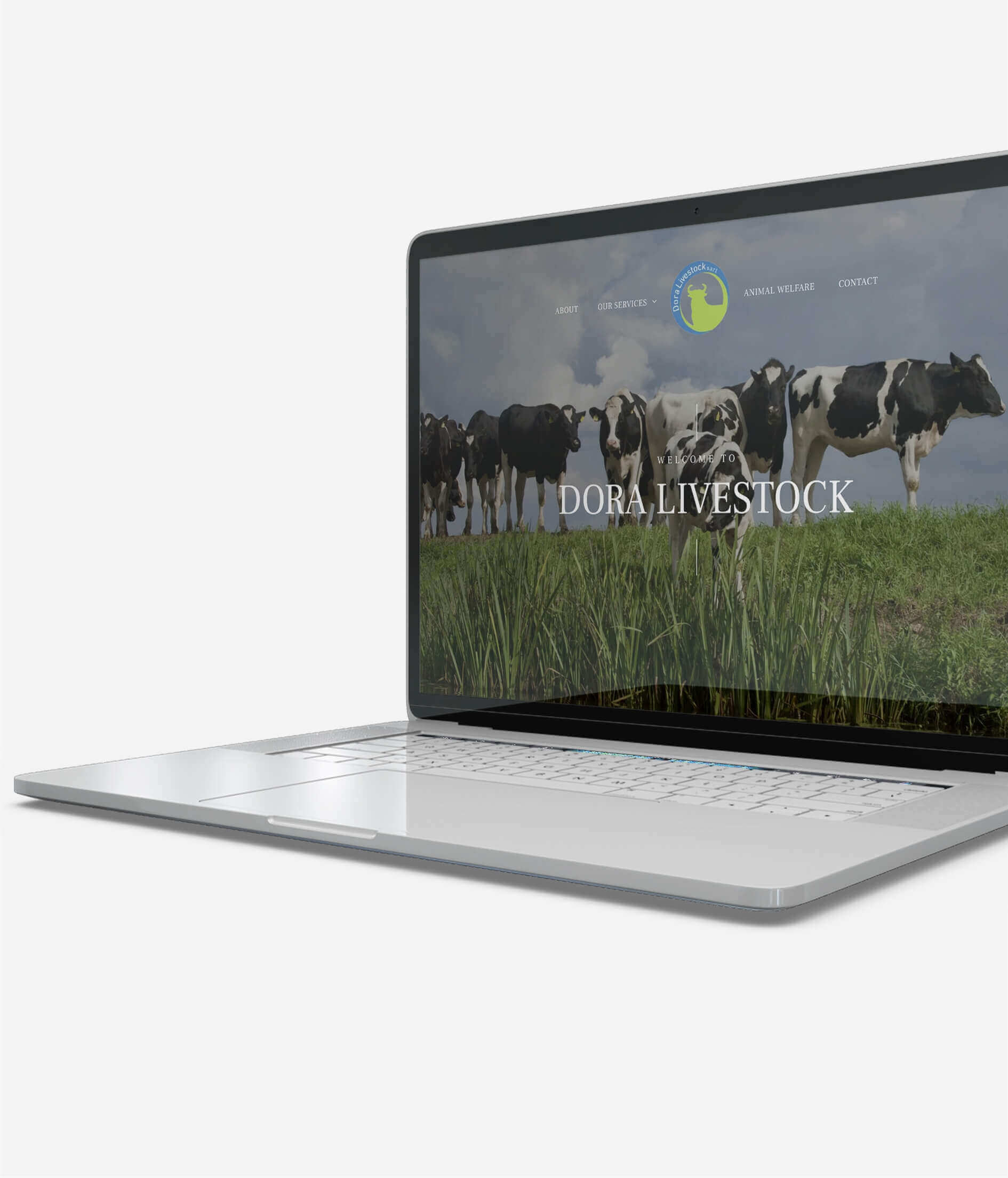Website setup for Dora Livestock in Lebanon