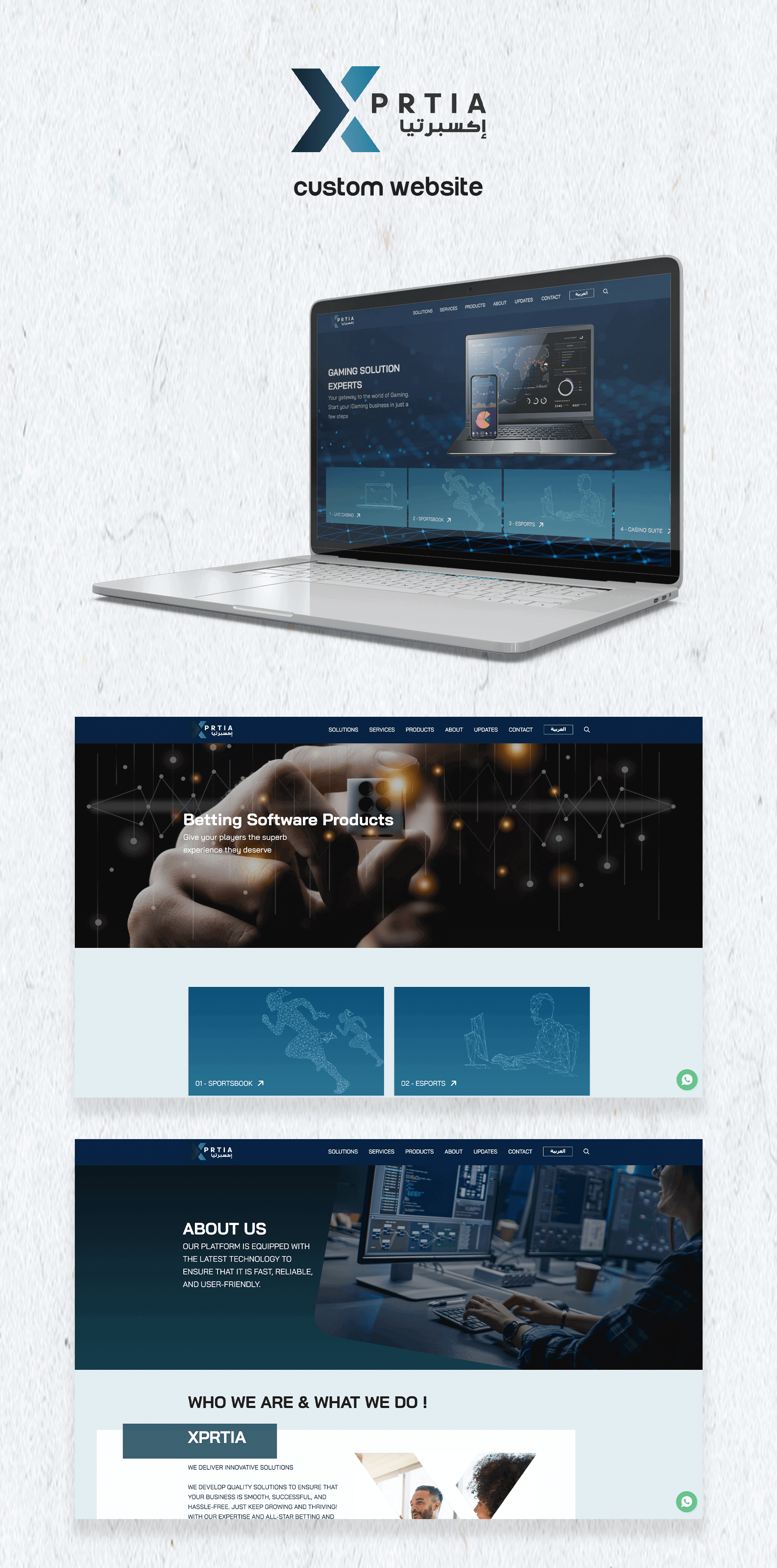 custom website design and development for Xprtia in Lebanon