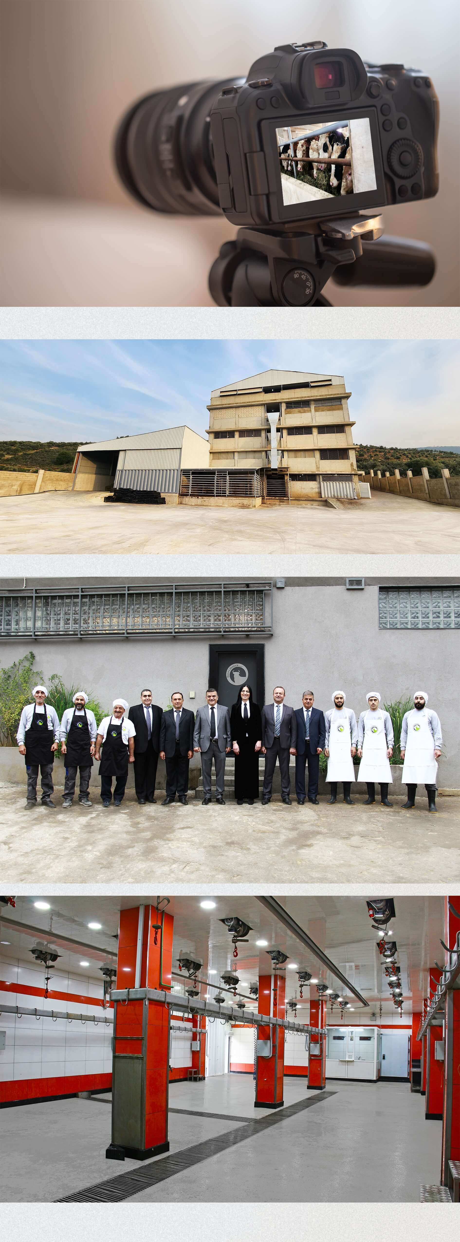 تصوير وإنتاج فيديو لشركة دورا للمواشي في لبنان