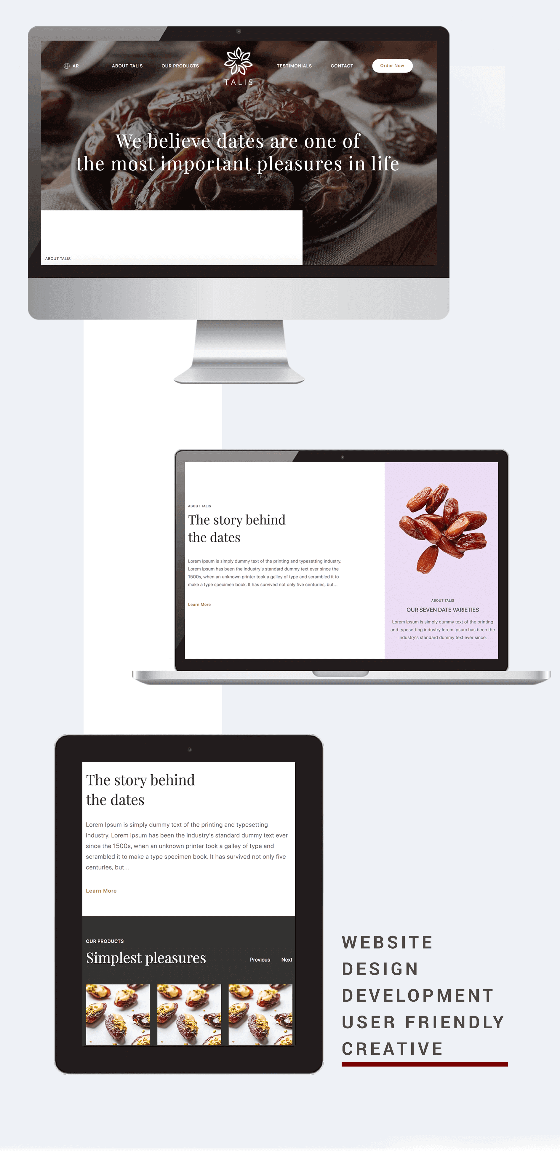 Talis Website design and developing