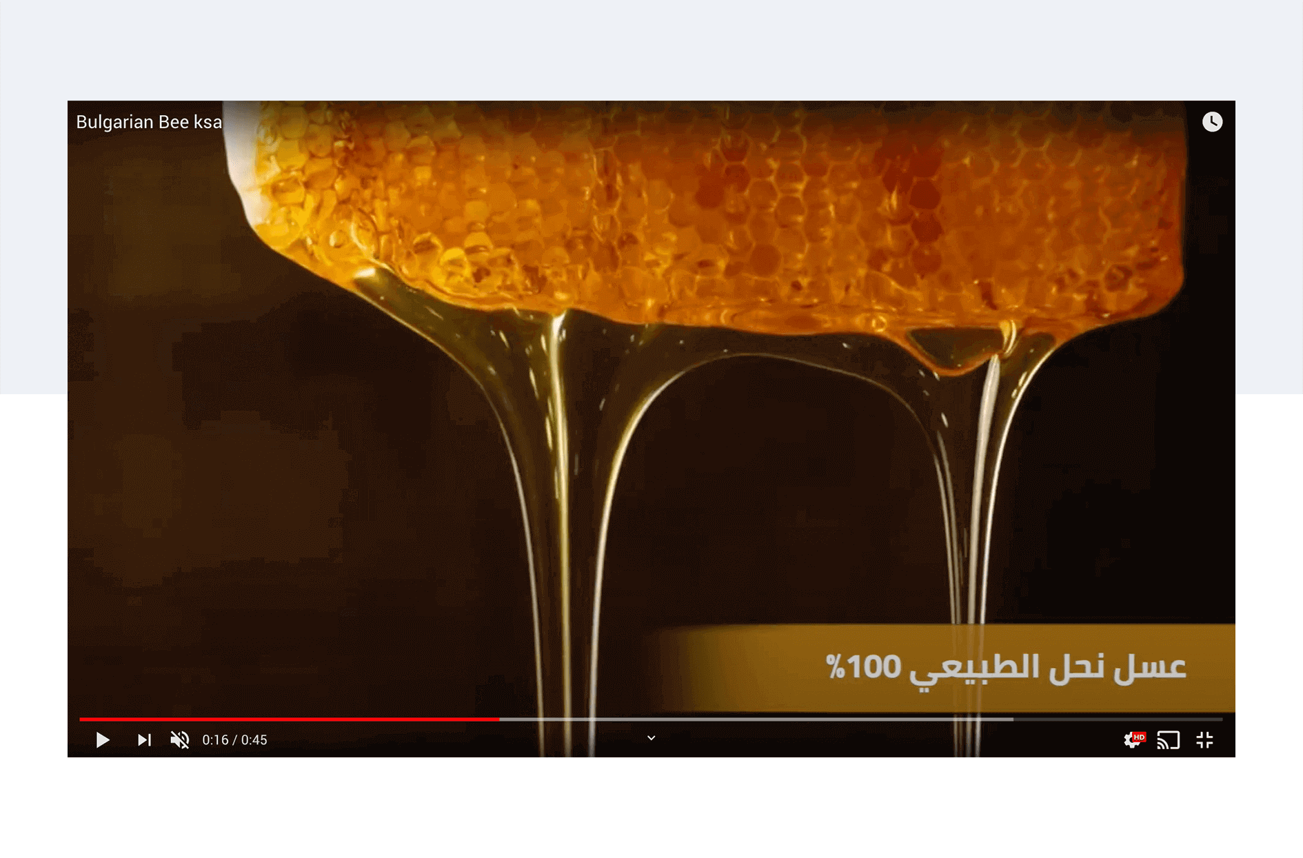 Bulgarian Bee KSA Video production 