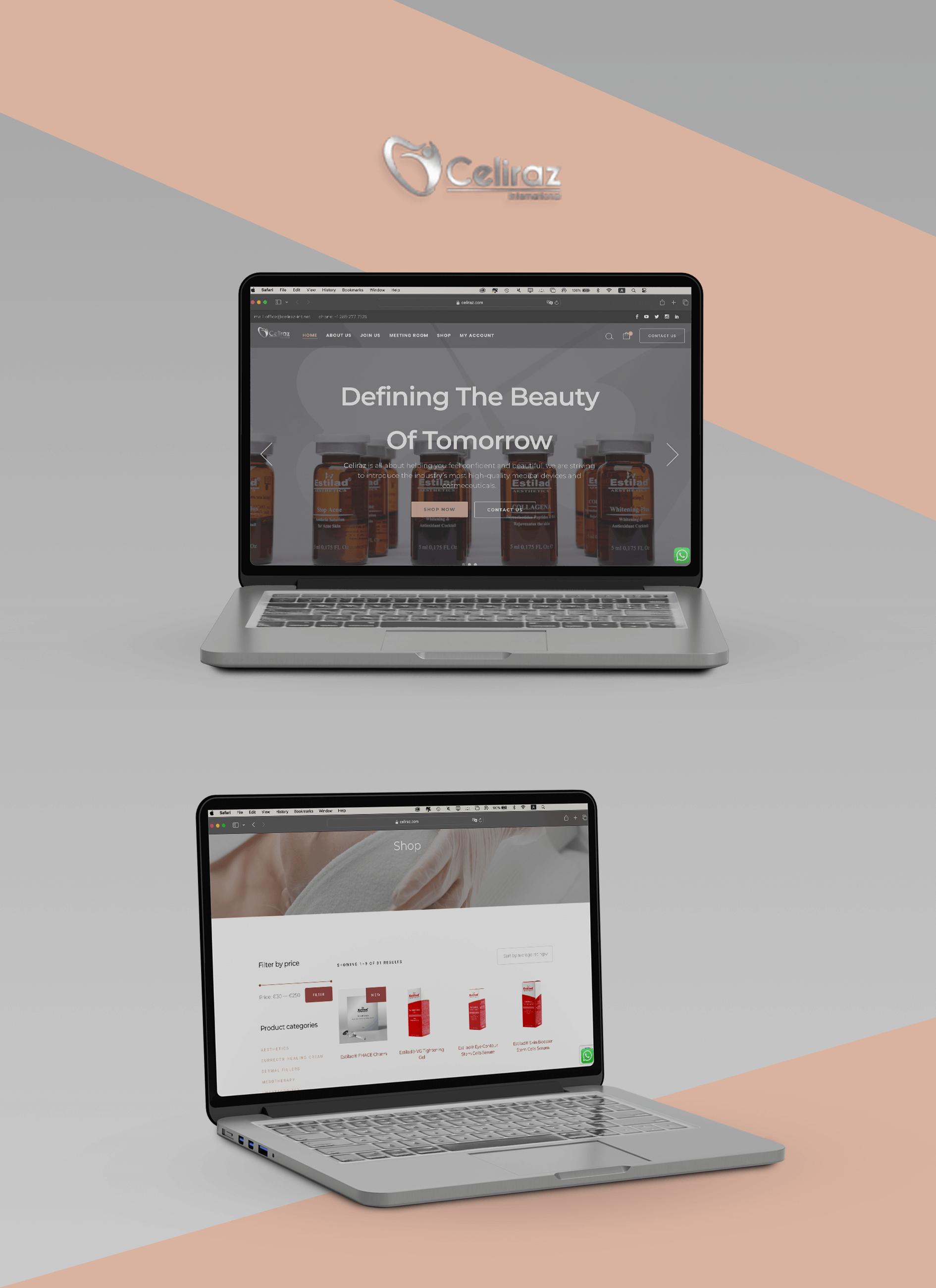 Website design and development for Celiraz International