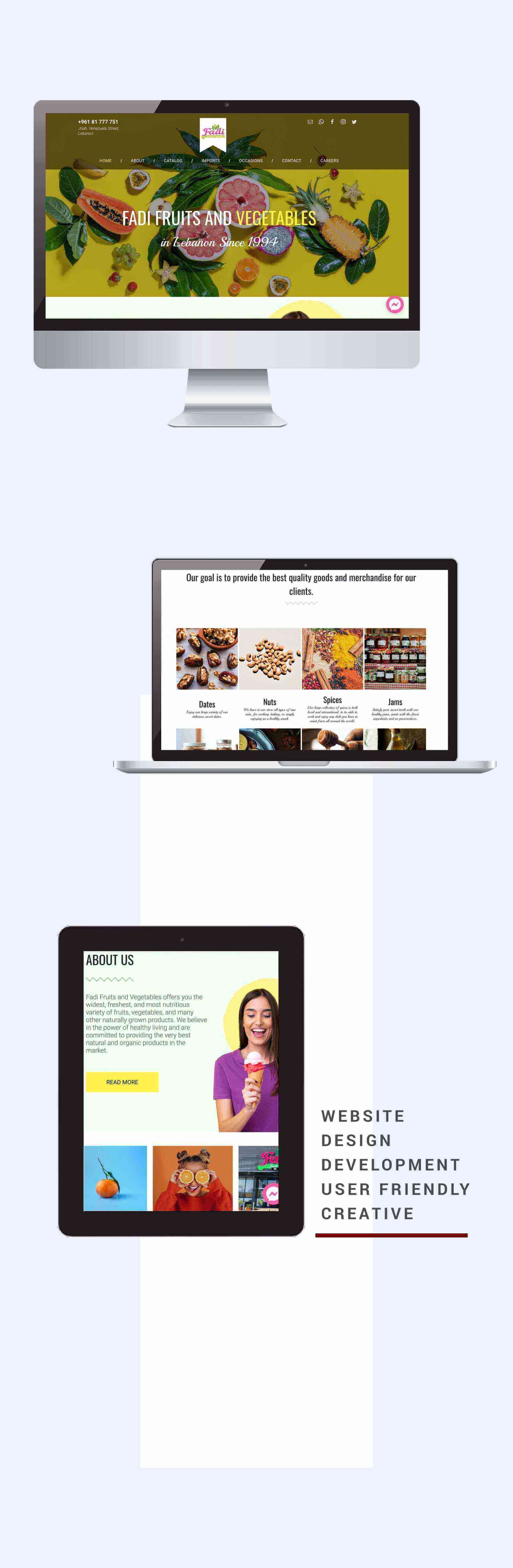 تصميم موقع إلكتروني لفادي فروتس في لبنان