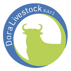 Dora Livestock