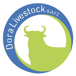 Website setup for Dora Livestock in Lebanon Logo