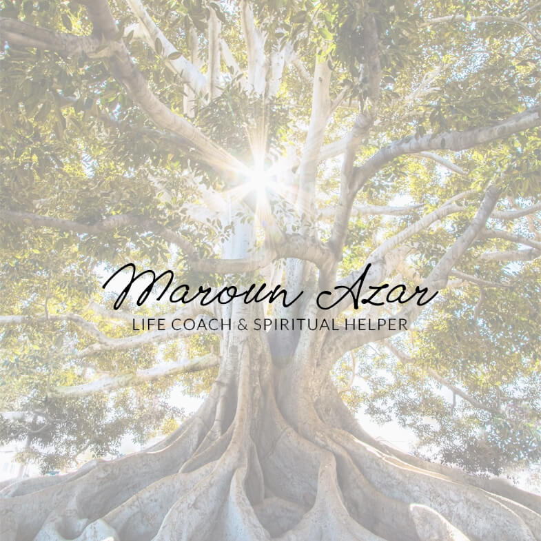 Ads Management for Maroun Azar in Spain