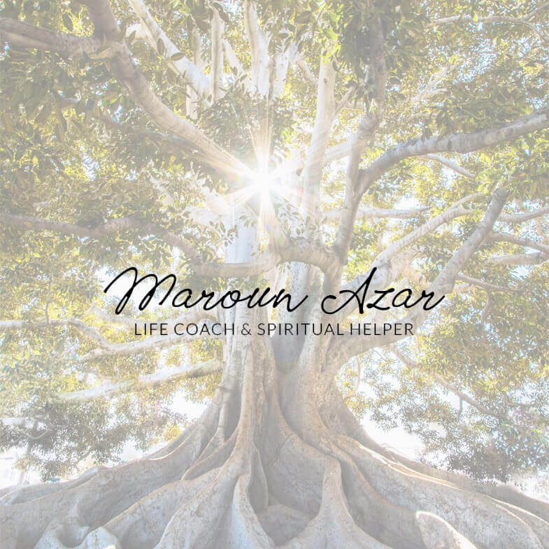 Ads Management for Maroun Azar in Spain