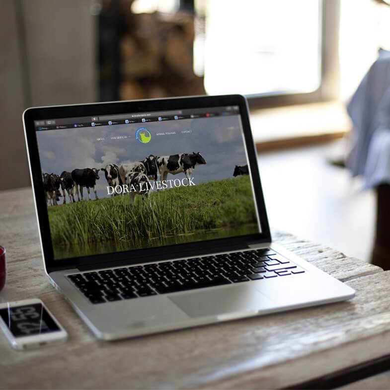 Website setup for Dora Livestock in Lebanon