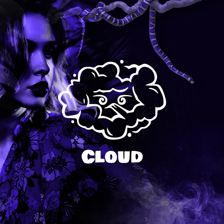 Online marketing and advertising for Cloud Vape Store in Lebanon