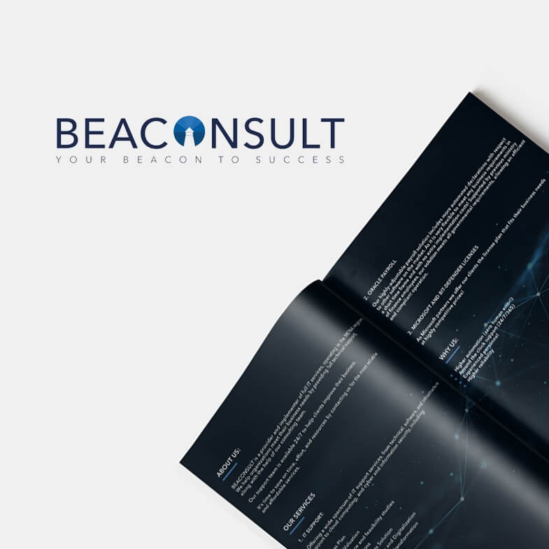 website setup for BeaConsult in Lebanon