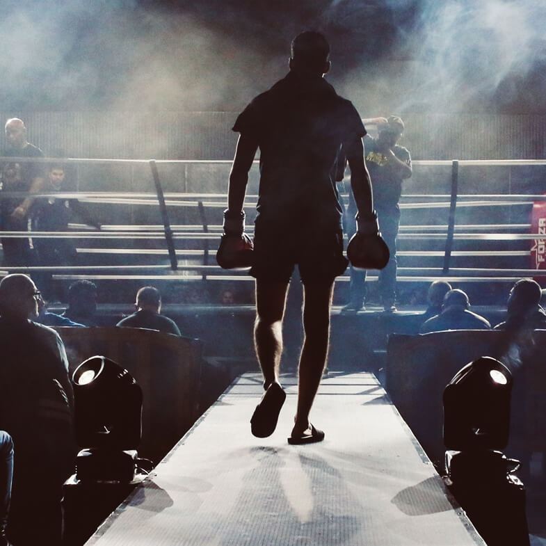 Full branding for the Lebanese Fighting Championship