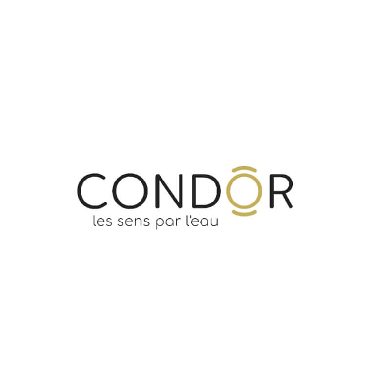 إعداد موقع الكتروني لشركة كوندور بالنيو في فرنسا