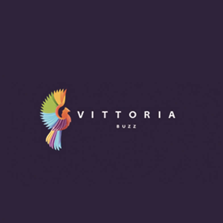 Web Design and Development for Vittoria LLC based in K.S.A.