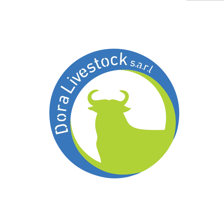Website Hosting for Dora Livestock in Lebanon