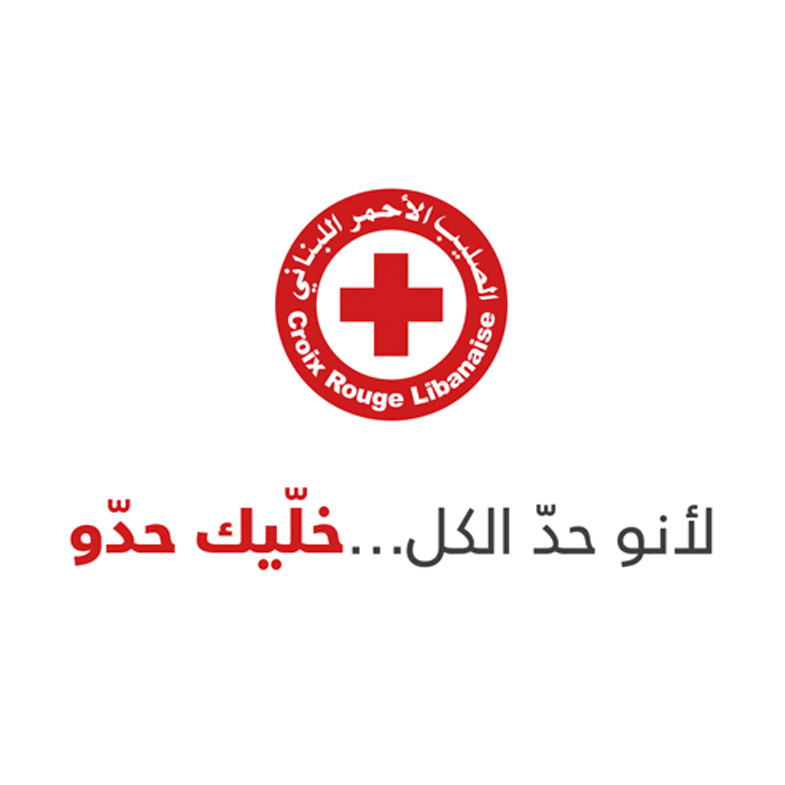 Red Cross software development
