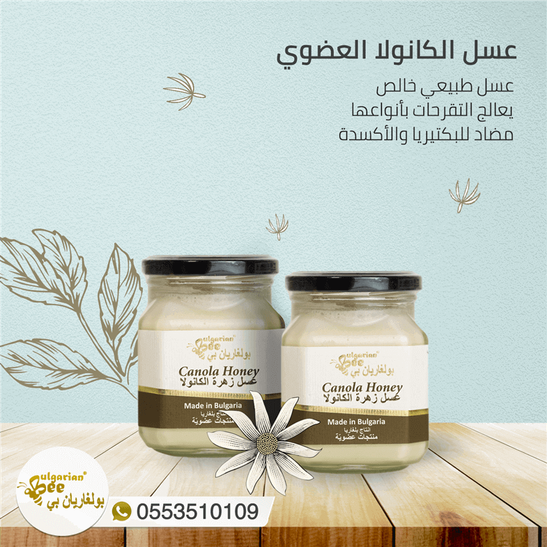 Bulgarian Bee KSA social media management