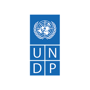 Administrating Facebook and Google Ads for UNDP, and facilitating their payments Logo
