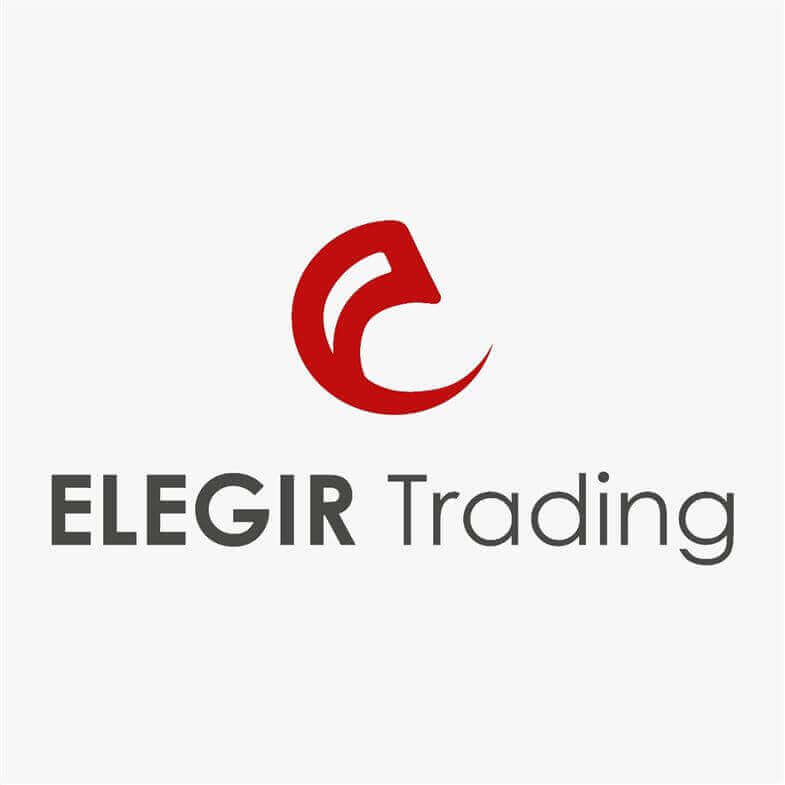 Logo design for Elegir