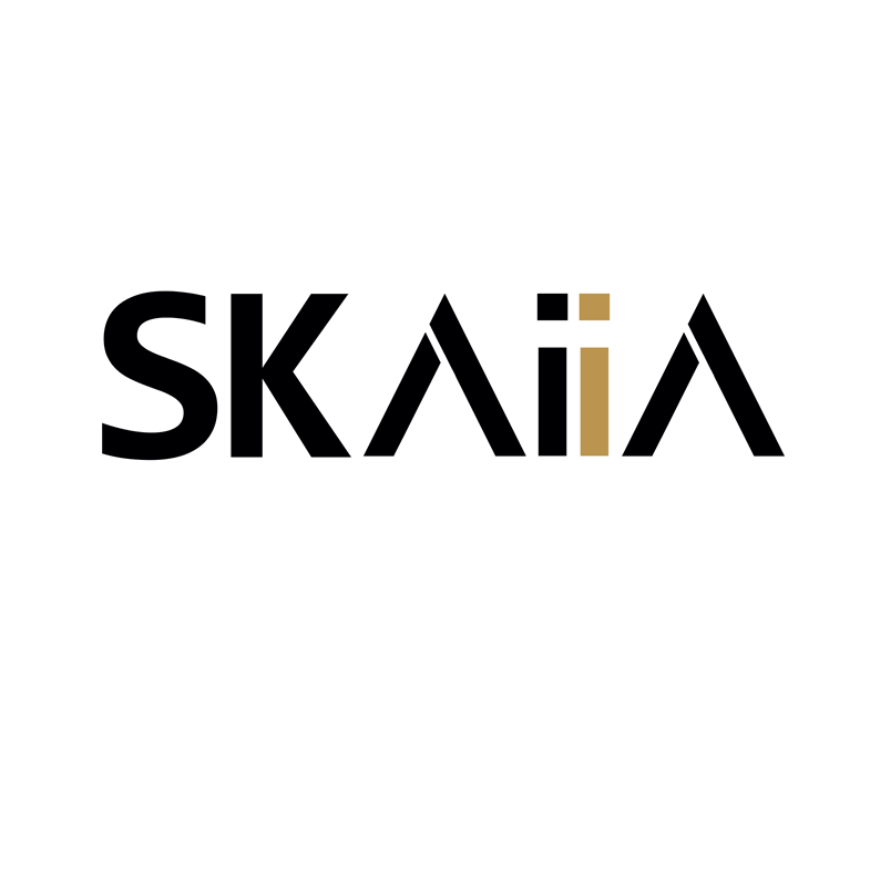 Full branding services for SKAIIA