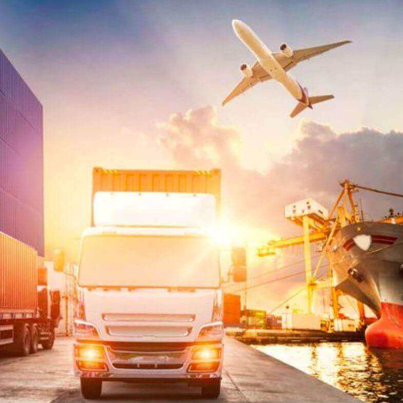 Suwaida Transport and Trading S.A.R.L. web hosting
