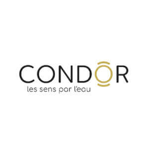 Template website setup for Condor Balneo in France Logo