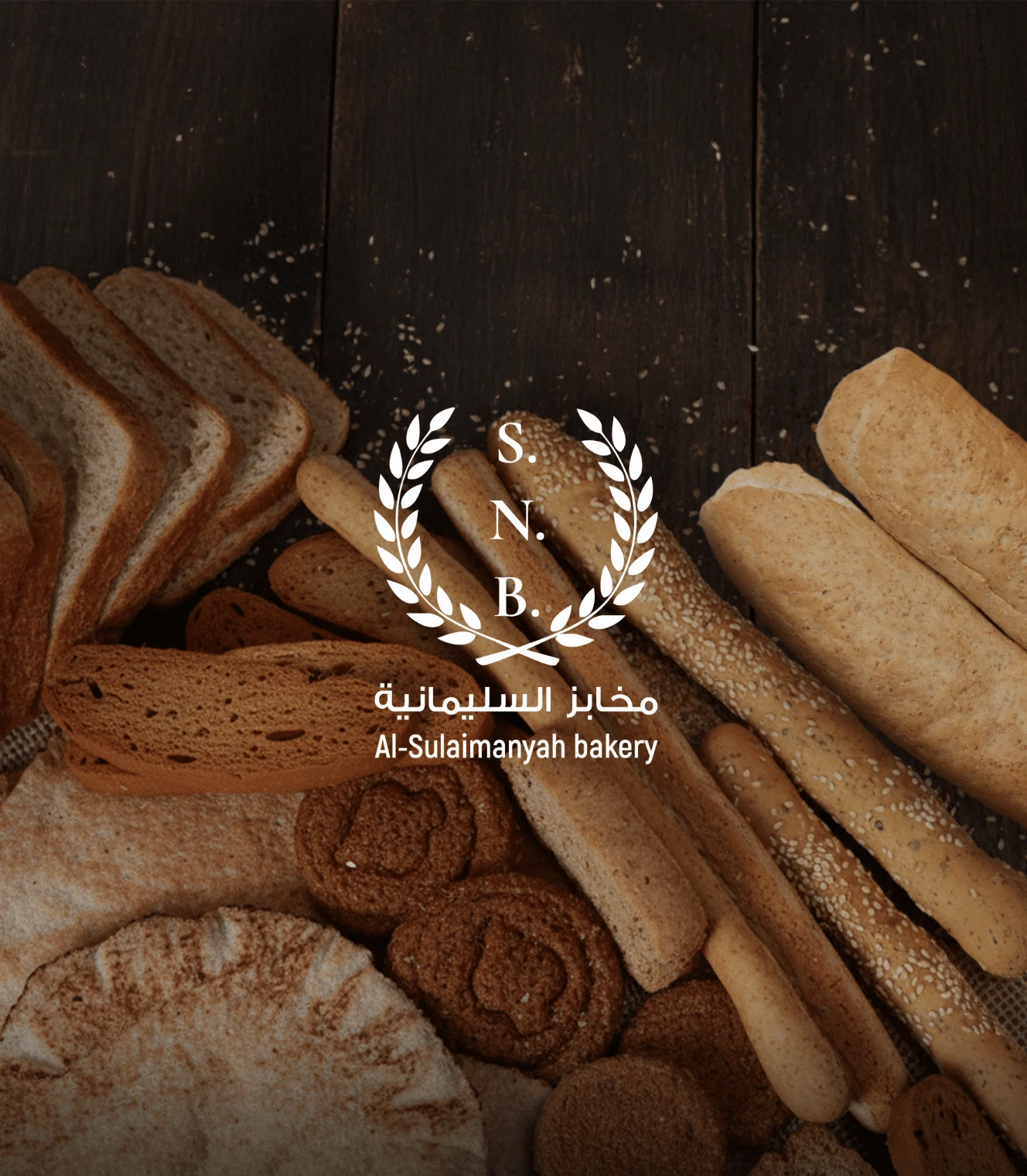 المشروع السابق