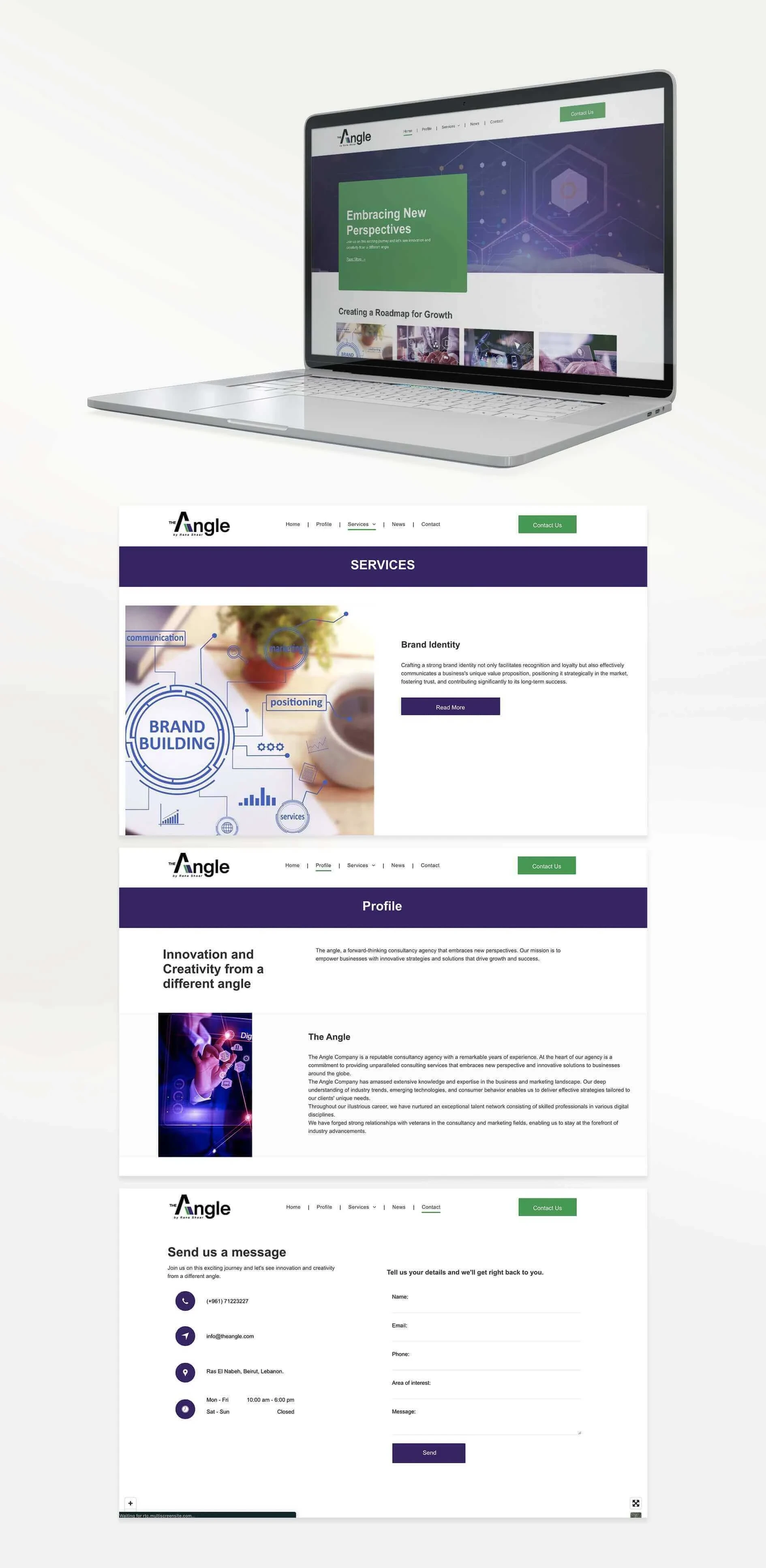 Template website setup for The Angle, by Rana Shaar