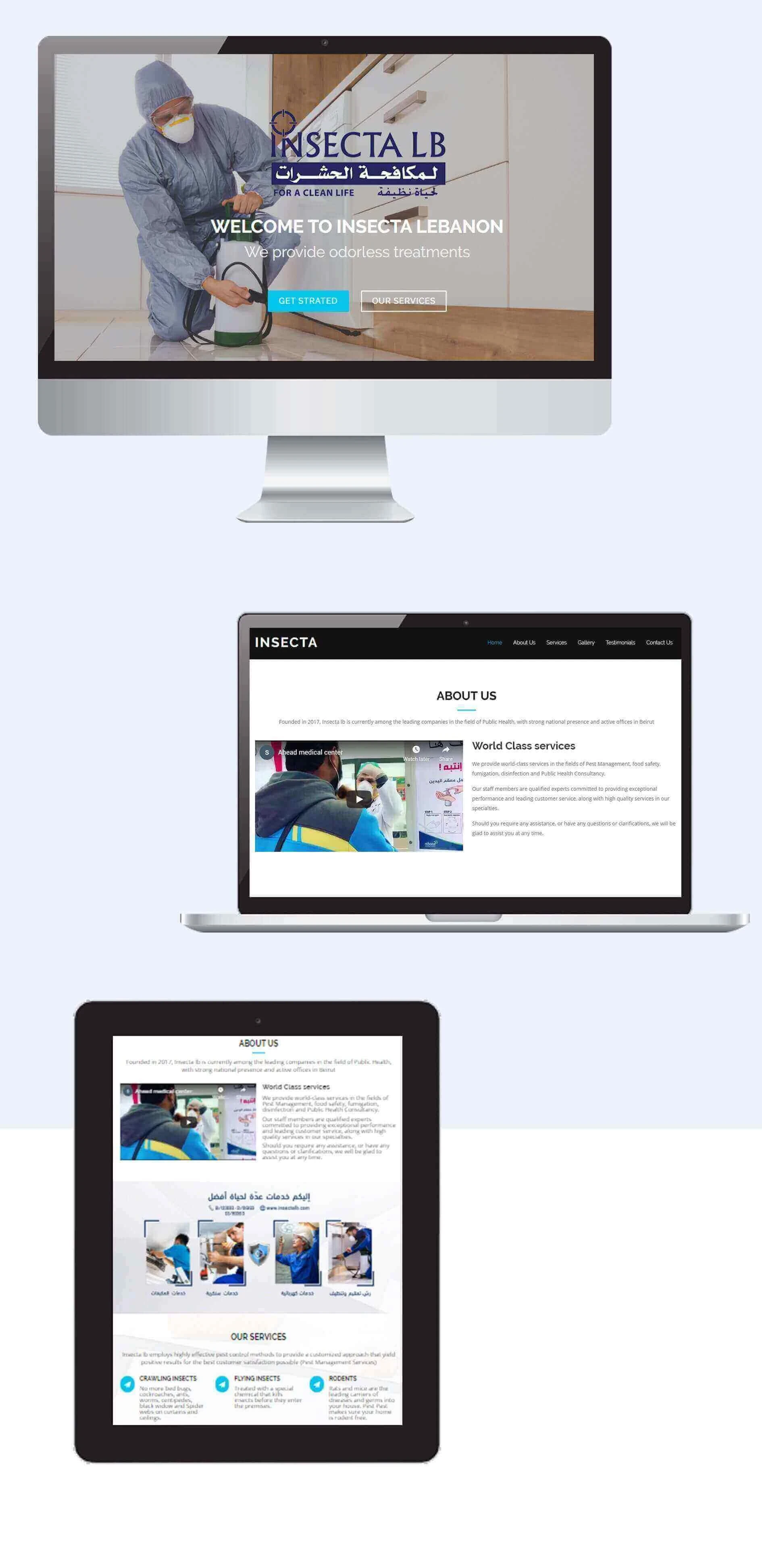 Template Website Insecta Lebanon