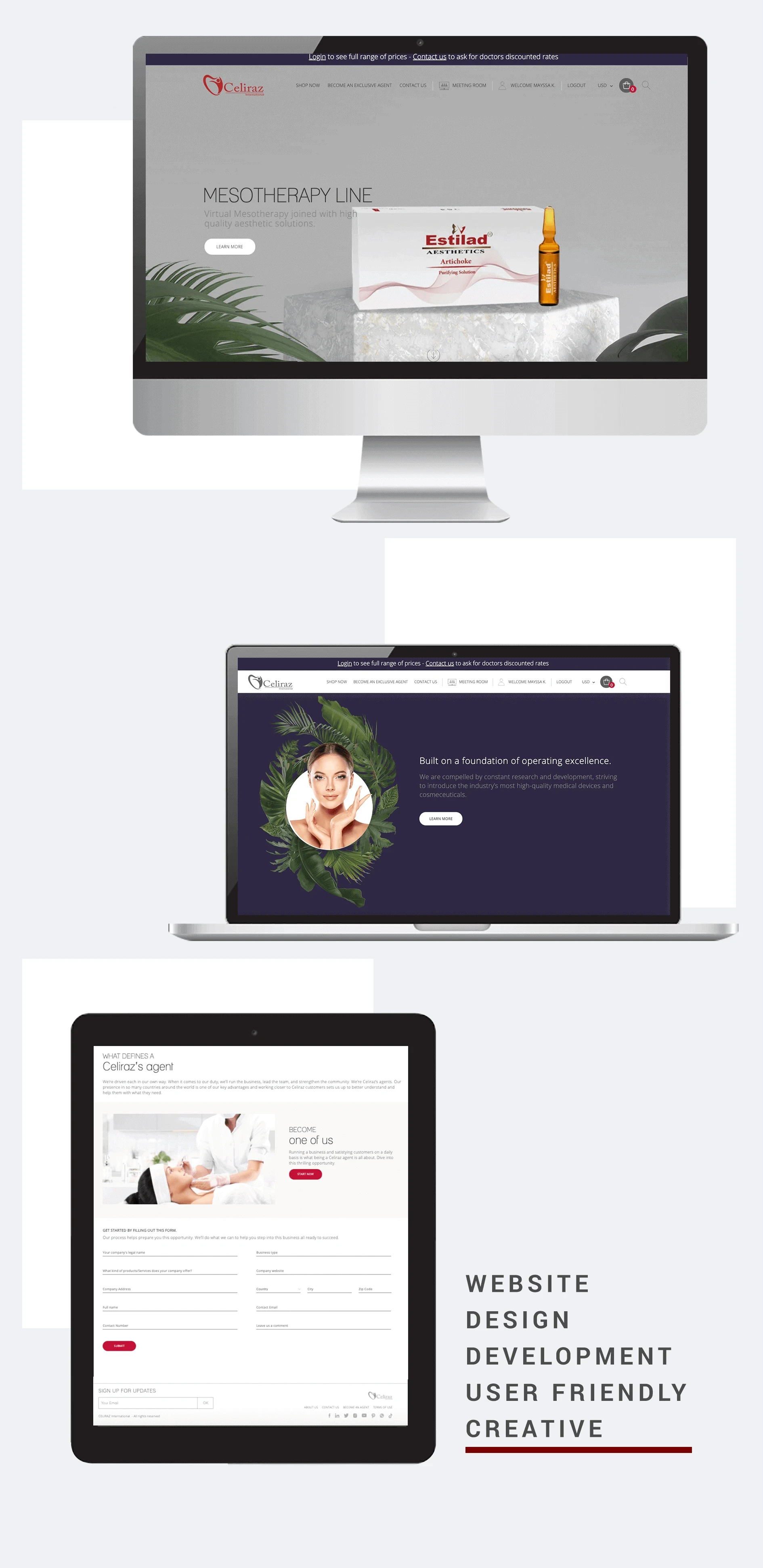 Celiraz website design and development