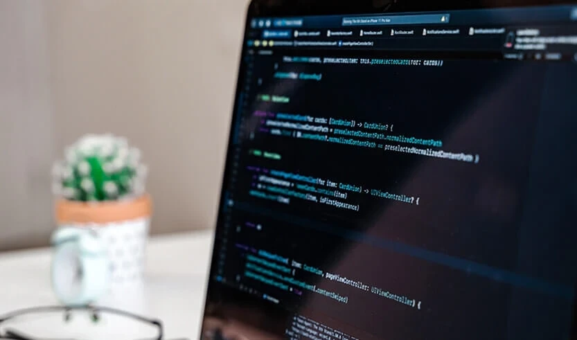 Should You Consider A Career in Web Development?