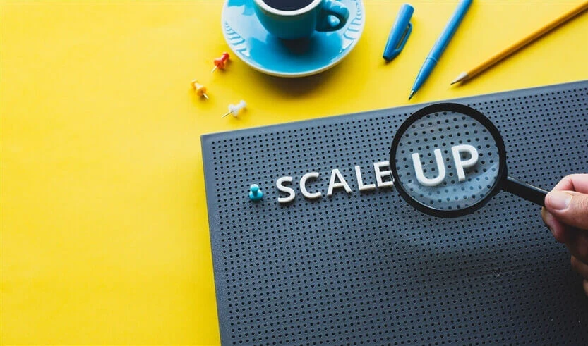 How to Grow Your Startup