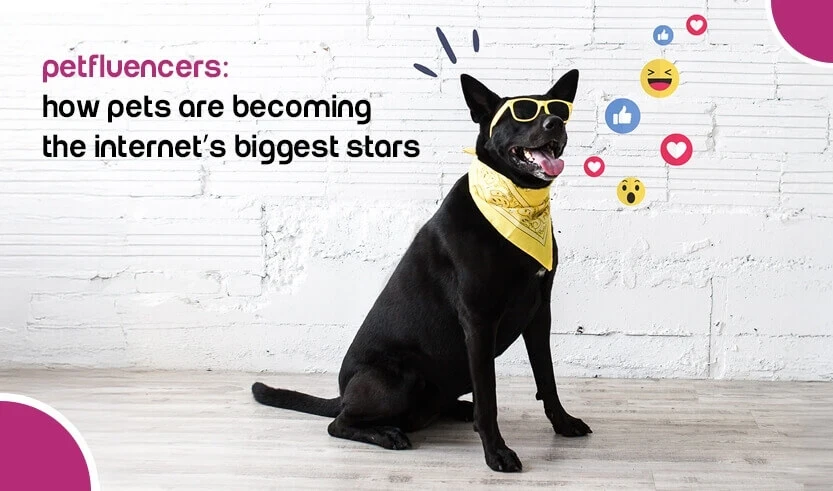 Petfluencers: How Pets Are Becoming the Internet’s Biggest Stars
